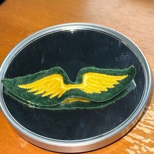 Girl Scouts wings Iron-on Patch B021‎ Green with Gold Wings